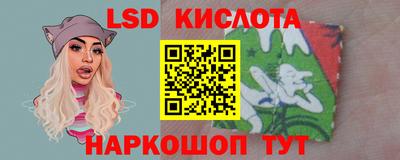твердый Будённовск