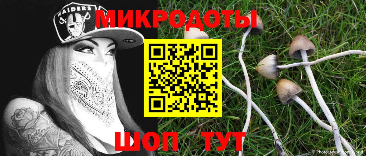 Магадан  Псилоцибиновые грибы Psilocybine cubensis  Вход с VPN 